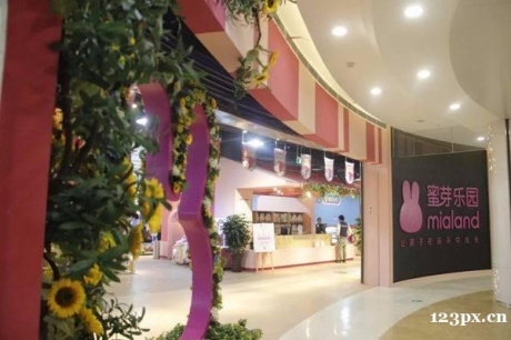 ʵ������ע����ѿplus��ô��������Щ�ô���տ�����أ�