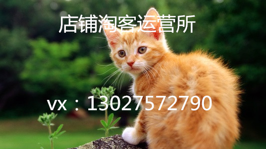 互联网时代,淘宝电商趋势无货源网店,没有货源怎么去开店 互联网时代,淘宝电商趋势无货源网店,没有货源怎么去开店