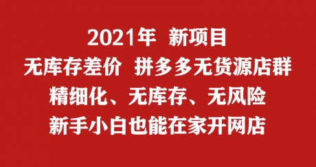 电商拼多多无货源店群运营培训加盟!支持线下学习 电商拼多多无货源店群运营培训加盟!支持线下学习