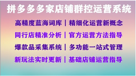 拼多多群店软件代理,ERP系统官网接口独立后台无限开贴牌加盟 拼多多群店软件代理,ERP系统官网接口独立后台无限开贴牌加盟