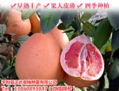 ��ʤ��300Ԫ����Ь������ʲô���Σ�����Ь��Դ